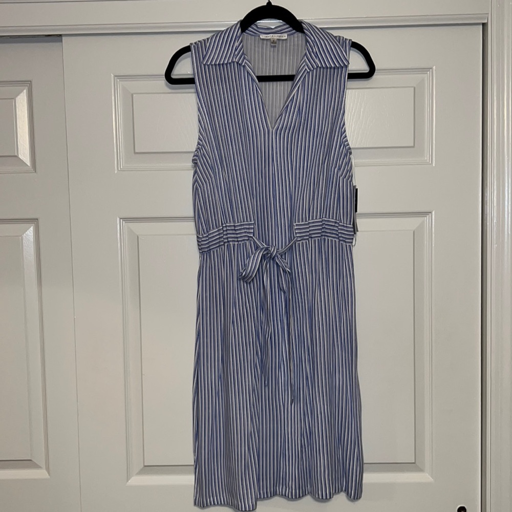 Sandra Darren Blue and White Striped Dress 8